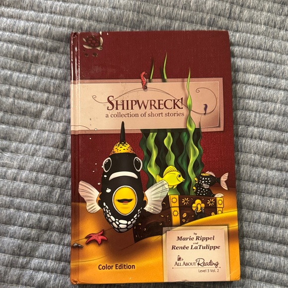 All About Reading Level 3 Volume 1 and 2 - Picture 6 of 12